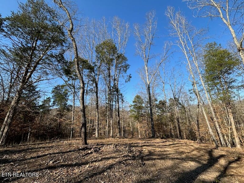 0 Dogwood Valley Rd | Lot 3, Kingston, TN 37763